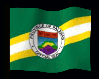 palawan flag